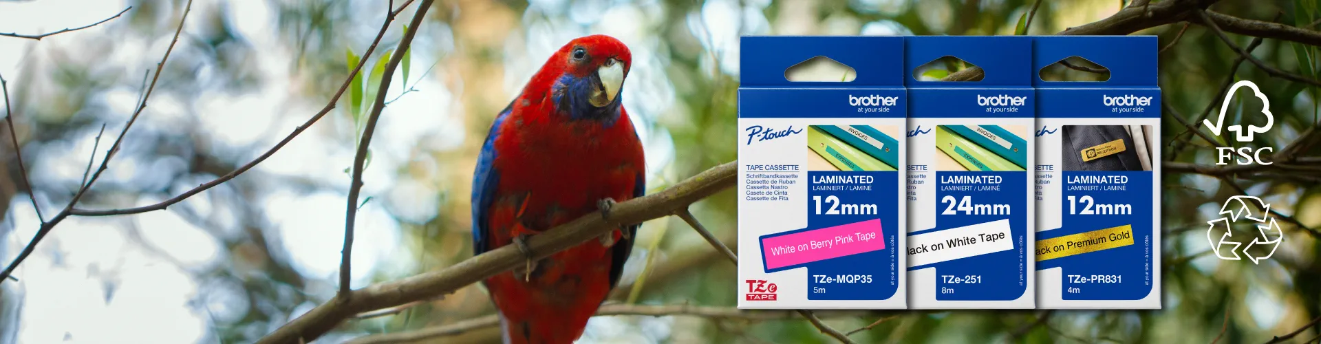 Hình ảnh các loại băng nhãn Brother TZe với màu sắc và kích thước khác nhau, minh họa khả năng chống chịu môi trường.